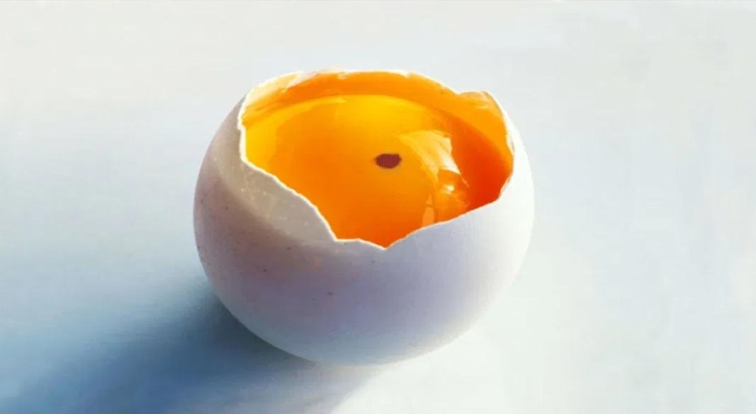 ডিমের কুসুমে রক্তের দাগ, এই ডিম খেলে যা হয়