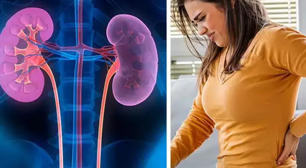 যে ৫ লক্ষণ দেখলেই বুঝবেন কিডনি ক্যানসারে ভুগছেন