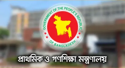 ফাইল ছবি